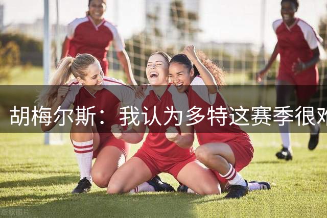 胡梅尔斯：我认为多特这赛季很难进欧冠前八