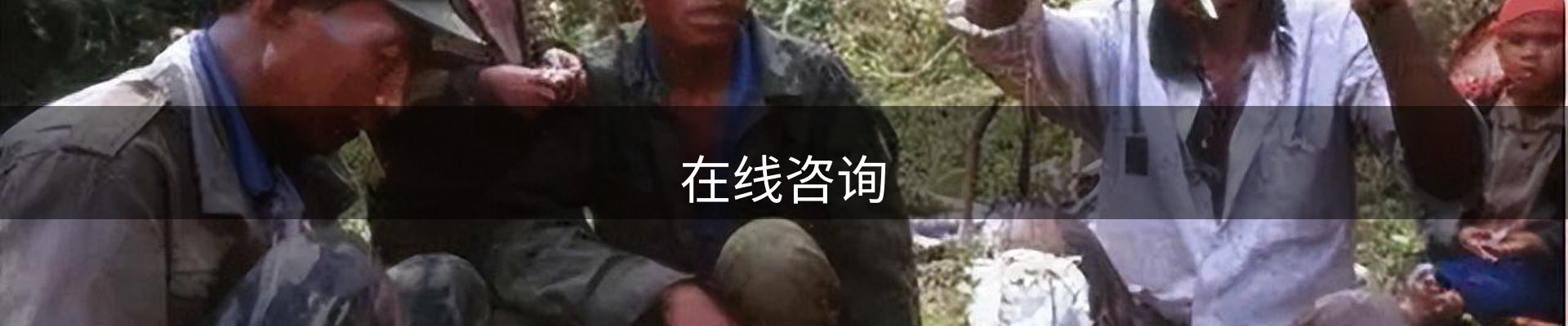 在线咨询